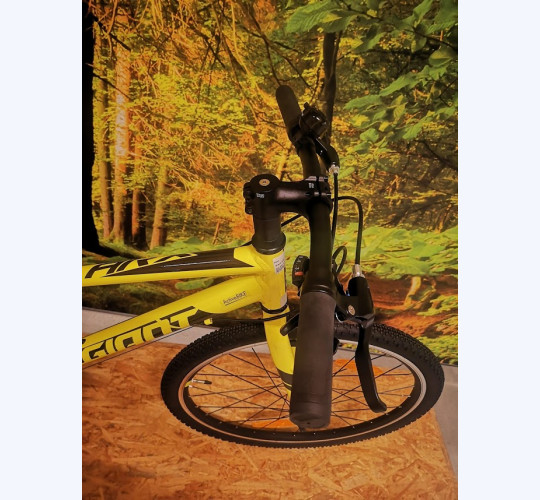 Giant ARX Junior 20