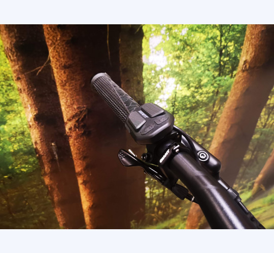 Liv Intrigue E+ 2 Pro