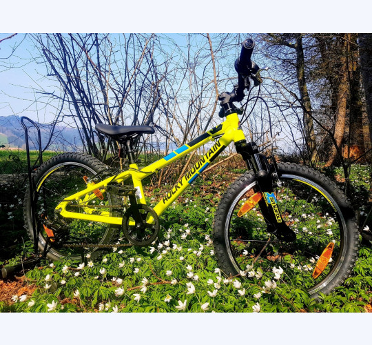 ROCKY MOUNTAIN Edge 20
