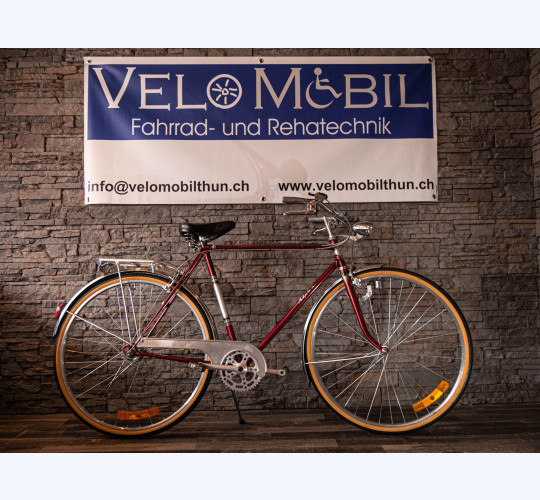 Alpina 3-Gang Herrenvelo - Retro Bike