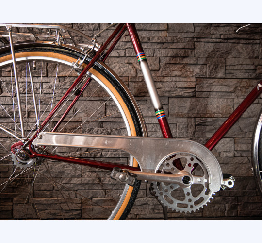 Alpina 3-Gang Herrenvelo - Retro Bike