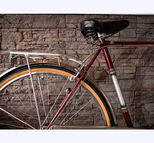 Alpina 3-Gang Herrenvelo - Retro Bike