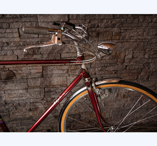 Alpina 3-Gang Herrenvelo - Retro Bike