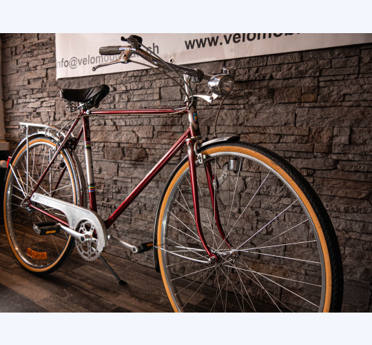 Alpina 3-Gang Herrenvelo - Retro Bike