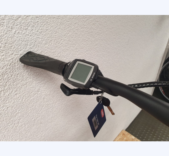 TREK Powerfly 7