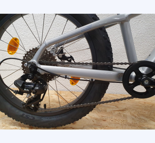 TREK Roscoe 20