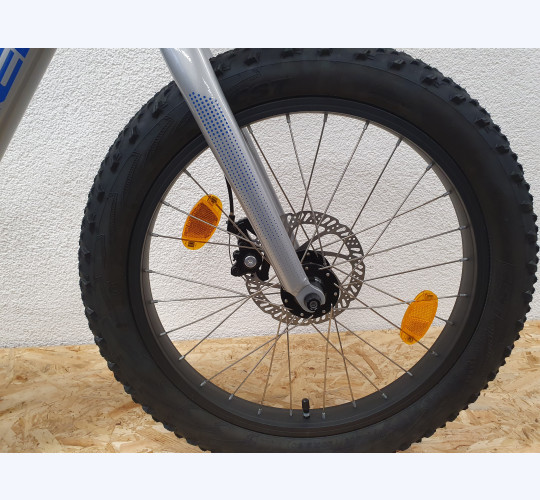 TREK Roscoe 20