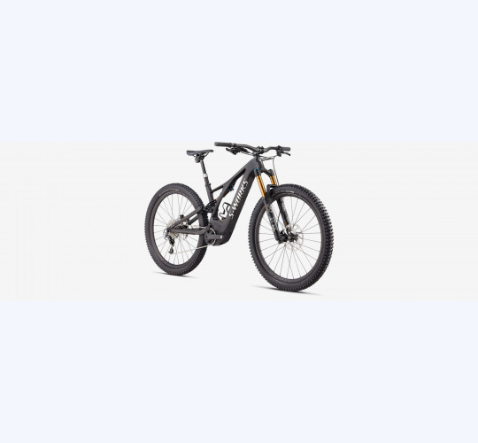 SPECIALIZED levo sworks