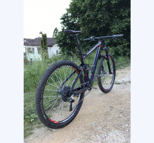 Bergamont fastlane MGN