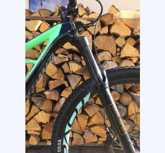 SPECIALIZED ENDURO PRO 29/6FATTIE