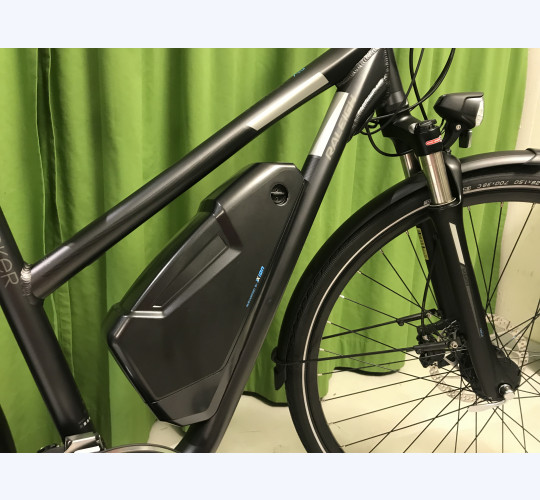 Raleigh Stoker X5 30-G
