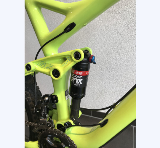TREK Remedy 9.8