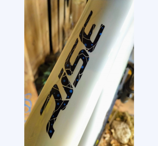 Orbea Rise M-Team
