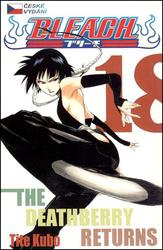 Bleach 18