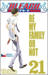 Bleach 21