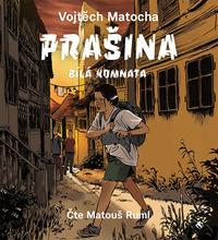 Prašina