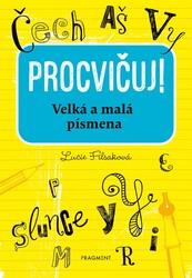 Procvičuj! Velká a malá písmena