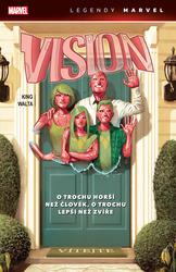 Vision