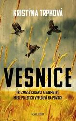 Vesnice