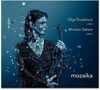 Mozaika
