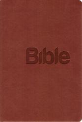 Bible 21