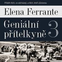 Geniální přítelkyně 3