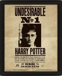 Harry Potter : 3D obraz Sirius 3D Obraz (s rámem)