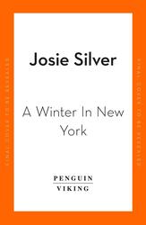 A Winter in New York