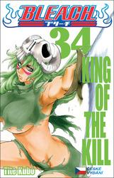 Bleach 34