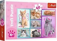 TREFL Puzzle Roztomilá koťátka 60 dílků