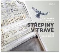 Střepiny v trávě