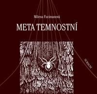 Meta temnostní