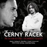 Černý racek