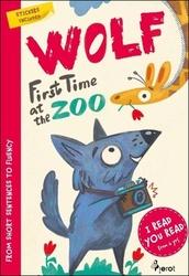 Wolf first time at the ZOO