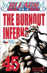 Bleach 45