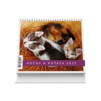 Kočky a koťata 2027 - Stolní kalendář