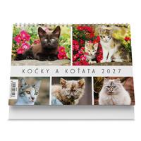 Kočky a koťata 2027 - Stolní kalendář