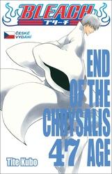 Bleach End Of The Chrysalis Age
