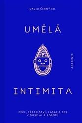 Umělá intimita