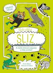 Jak udělat sliz