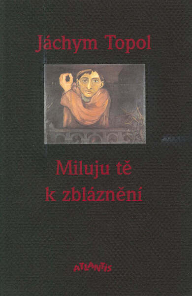 Miluju tě k zbláznění - 80-7108-085-3