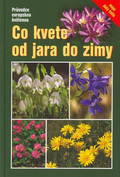 Levně Co kvete od jara do zimy