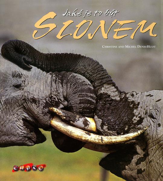 Levně Jaké je to být slonem