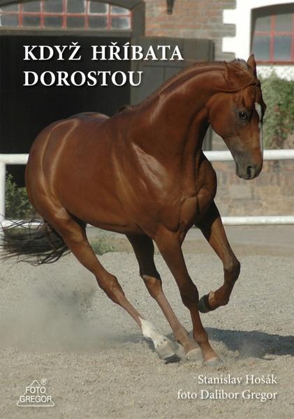 Levně Když hříbata dorostou - Hošák Stanislav, Gregor Dalibor