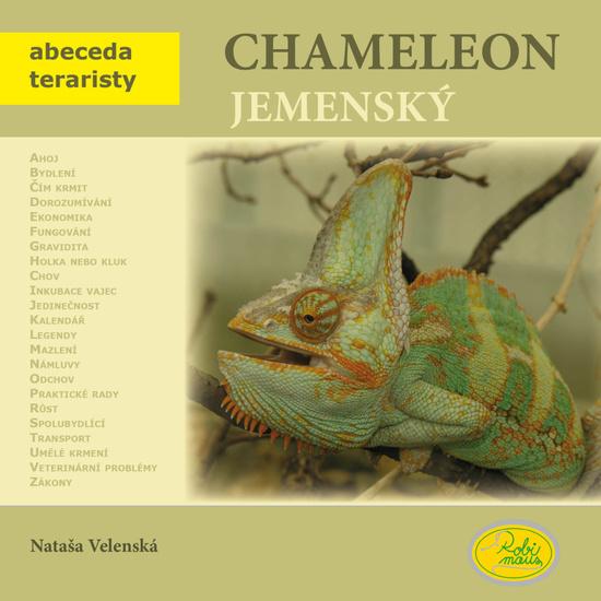 Levně Chameleon jemenský
