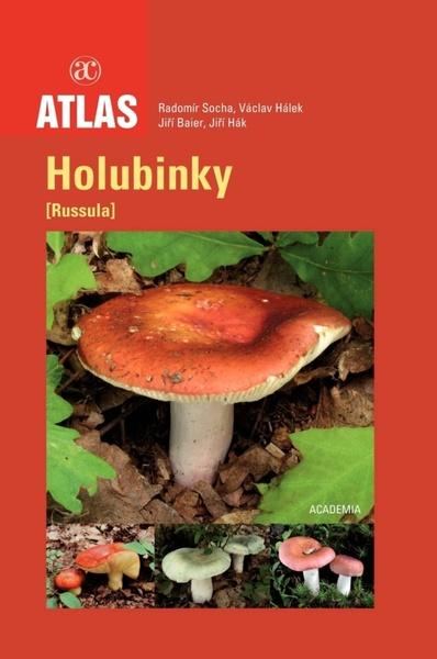 Holubinky - 978-80-200-1993-6