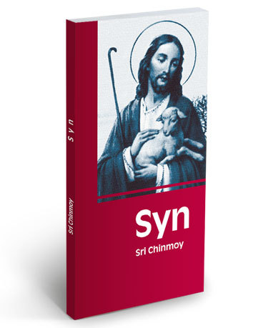 Syn - 978-80-86581-30-9