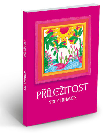 Levně Příležitost