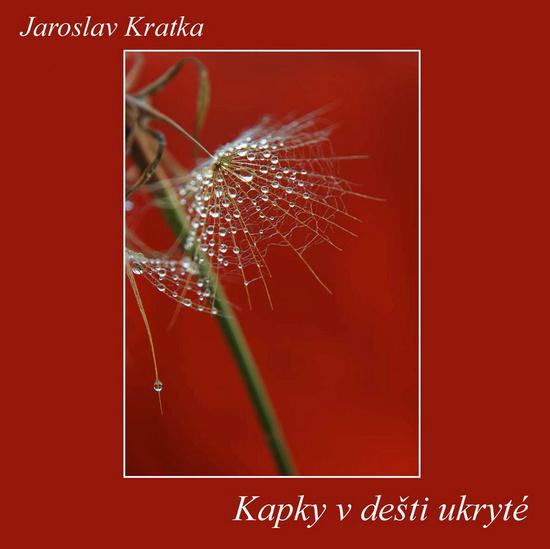 Levně Kapky v dešti ukryté