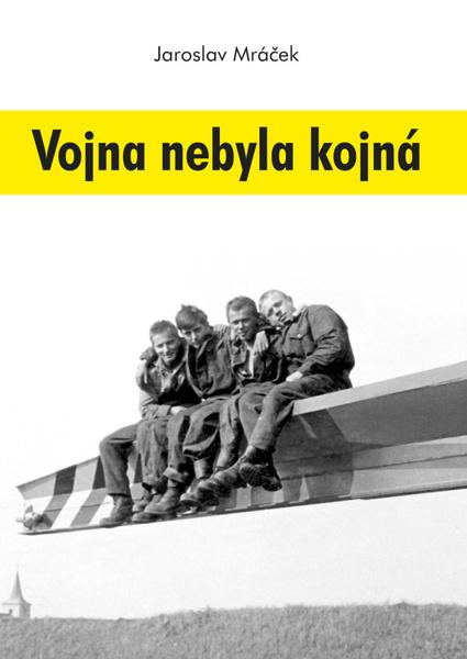 Levně Vojna nebyla kojná